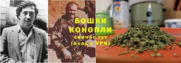 гашик Белоозёрский