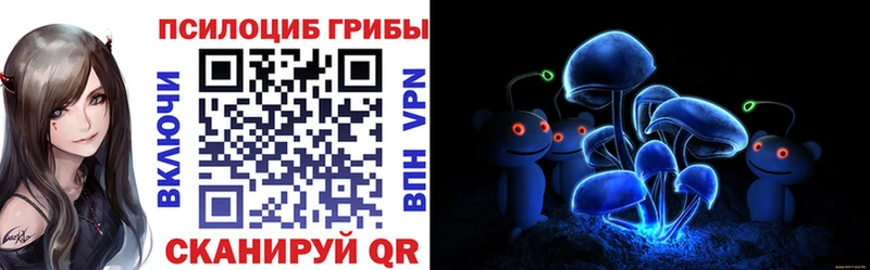 Галлюциногенные грибы Psilocybe  закладки  Кущёвская 